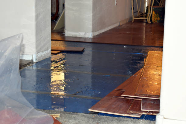 Professional Water Extraction technician working in Stanton, MI